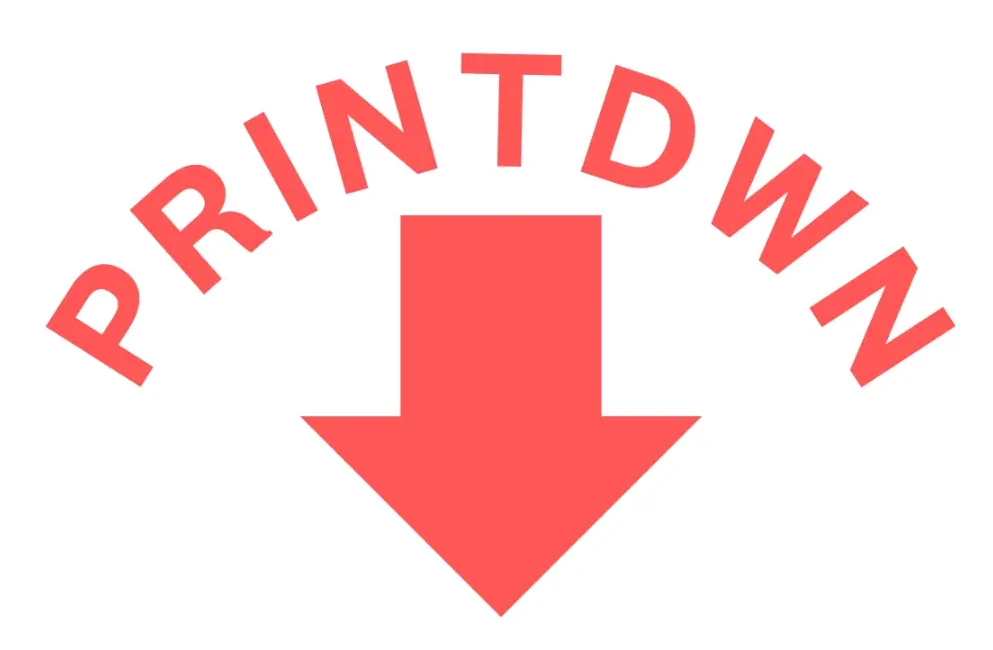 PRINT DWN LOGO
